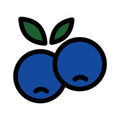 Huckleberry Social