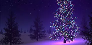Christmas Cards