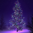 Christmas Cards APK