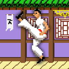 Master of Kung Fu иконка