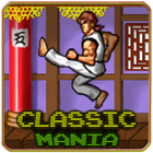Retro Kung Fu Master Arcade ikon
