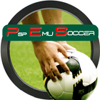 Psp Emulator Soccer icône