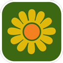 Susannes Massage & Friskvård APK