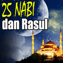 Kisah 25 Nabi dan Rasul Pro APK