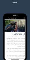 فیربونی فوتوگرافی poster