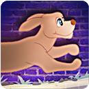 Dog Adventure! APK