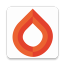 Revo iQ APK