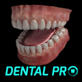Dental Pro
