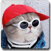 ikon Wallpaper Kucing Lucu 2024