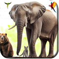 Animal Sounds Alphabetical