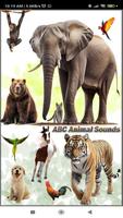 پوستر ABC Animal Sounds