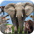 ABC Animal Sounds FULL