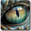 Dragons Wallpapers