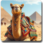 Lost in Desert Wallpapers icon