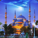 Mosque Wallpapers 2024 APK