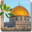 Palestine Beauty Wallpapers 아이콘