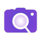 Image Search icon