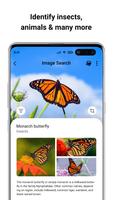 Reverse Image Search imagem de tela 1
