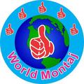 Montaj-Tel