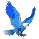 King Bird Qatar /OPC10001-APK