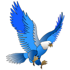 King Bird biểu tượng