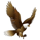 King Bird /OPC33333 biểu tượng