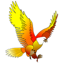 King Bird KSA / OPC50005-APK