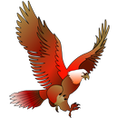 King Bird Oman / OPC89546-APK
