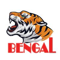 Bengal Telecom تصوير الشاشة 2