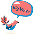 Bigvoize -