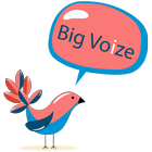 Bigvoize icône