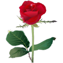 Lalgolap Express Plus APK