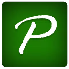 P Dial Dialer APK 下載