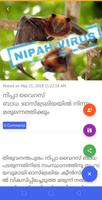 India vision media 截圖 2