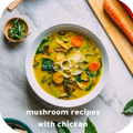 Mushroom recipes with chicken