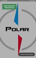 Poster Polar