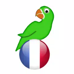 Learn French from scratch APK Herunterladen