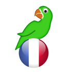 Learn French from scratch biểu tượng