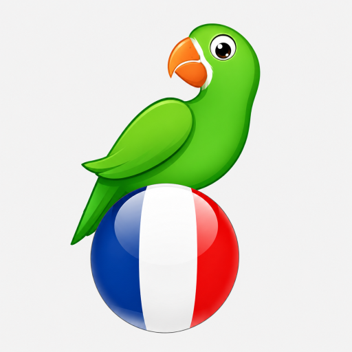 Learn French from scratch