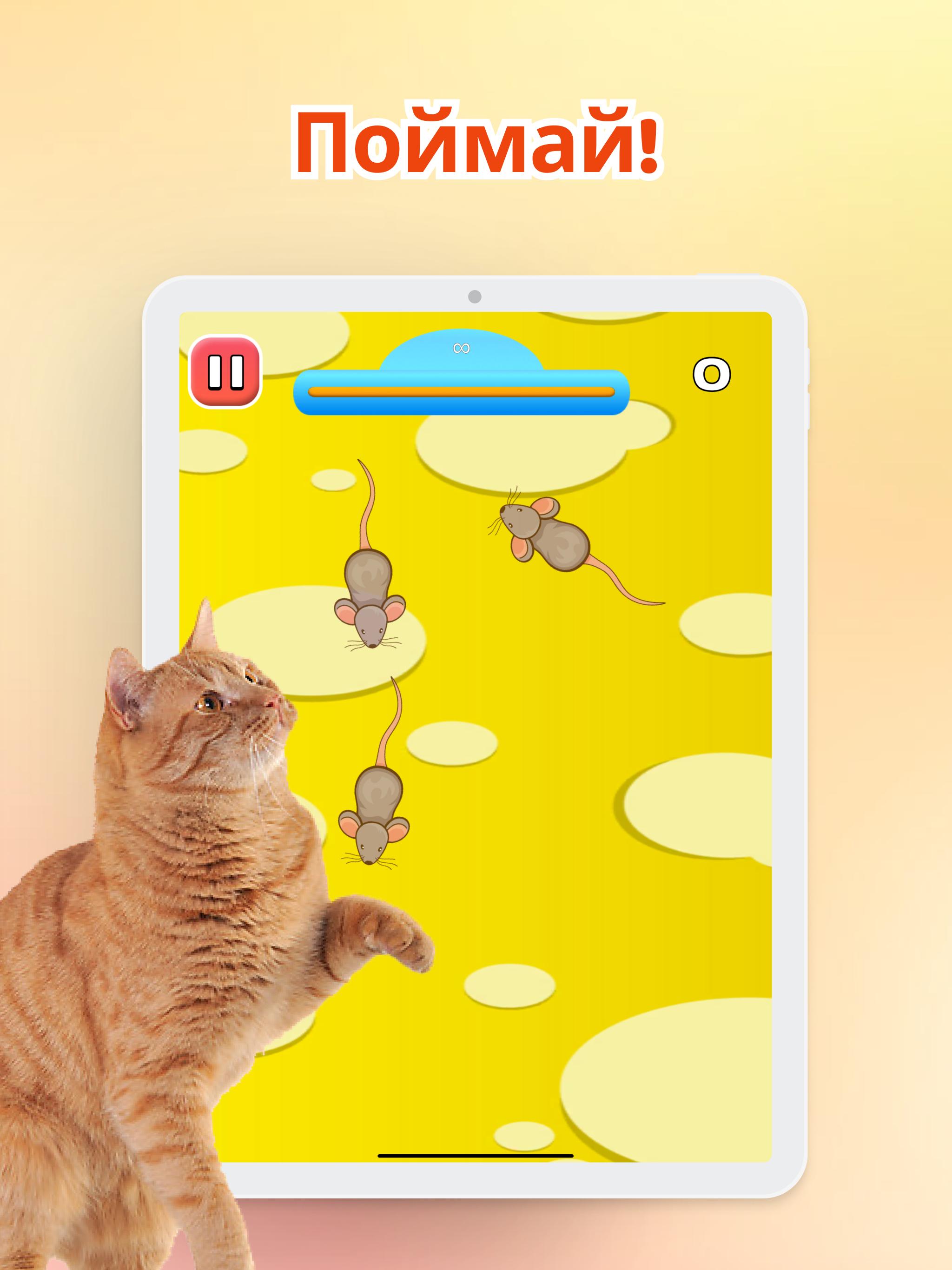 Скачать Игра для котов - Мышки и Рыбки APK для Android - Последняя Версия