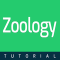 Zoology Book