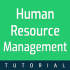 Human Resource Management आइकन