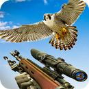 Bird Hunting Games 2019 : Hunting & Shooting Games APK