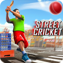 Championnat de cricket de rue APK