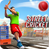 Street Criket-T20 Cricket Game-APK