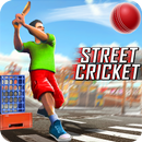 Street-Cricket-Meisterschaft APK