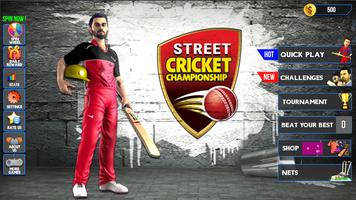 Street Criket-T20 Cricket Game poster