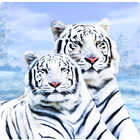 simulateur de famille de tigre blanc sauvage icône