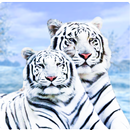 simulateur de famille de tigre blanc sauvage APK