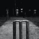 APK Cricket Legends